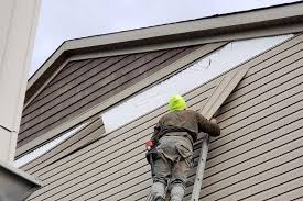 Best Steel Siding Installation  in Hansen, ID